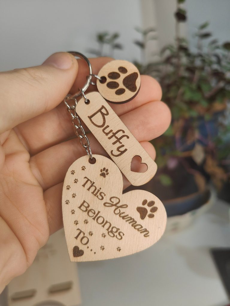 Personalised Pet Owner keyring Gift Human Belongs To Dog Owner lover Cat owner Laser Engraved with Pet Name Ideal birthday present